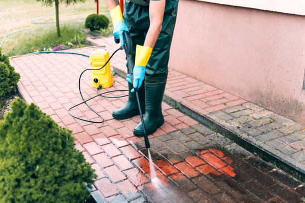 Best Roof Washing  in Richmond, VA